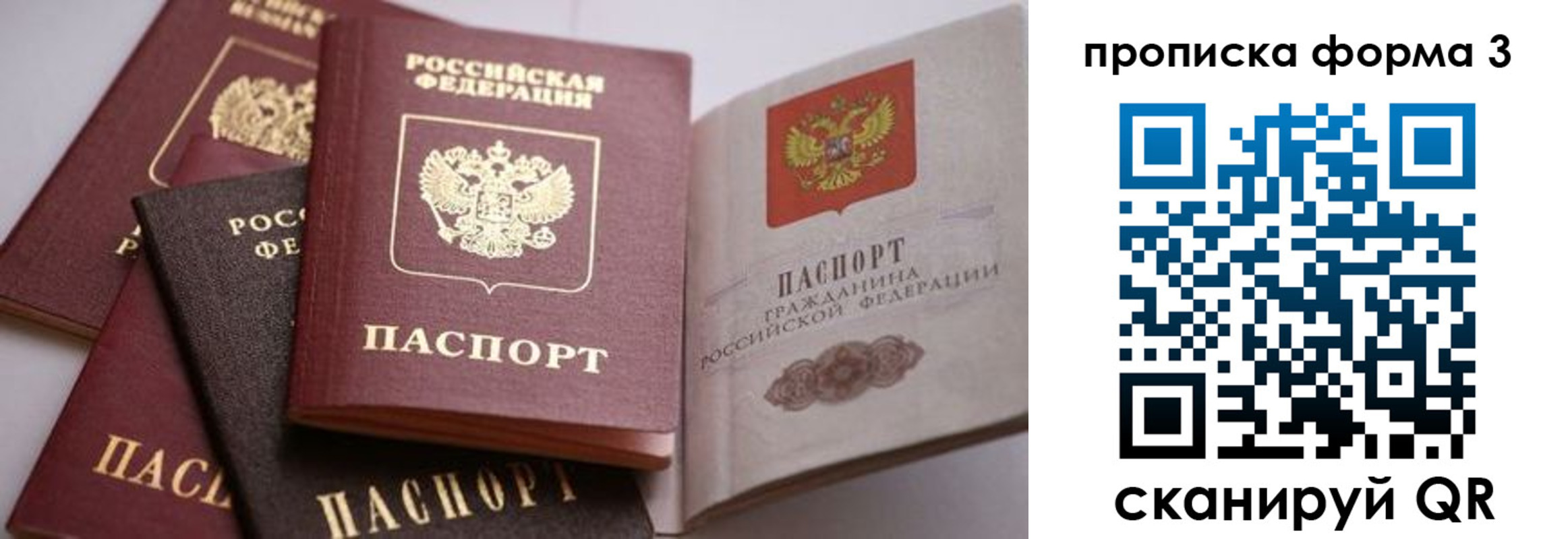 прописка для школы в Видном